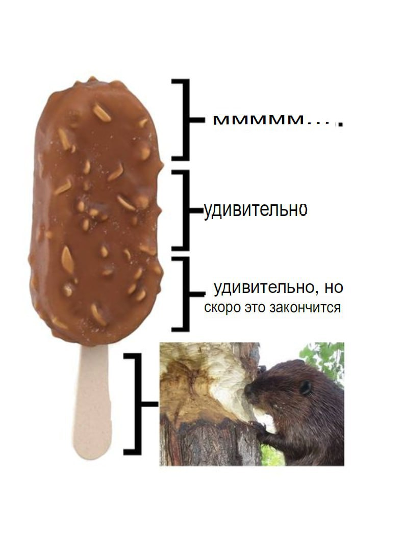 1772017133222.png