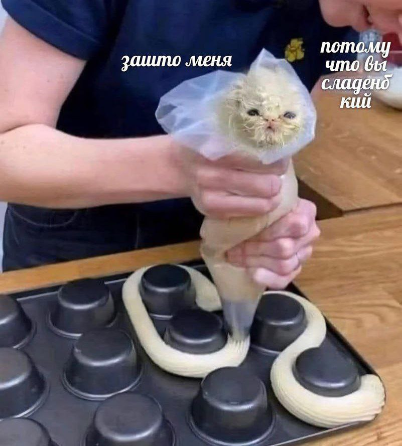 1772025522555.png