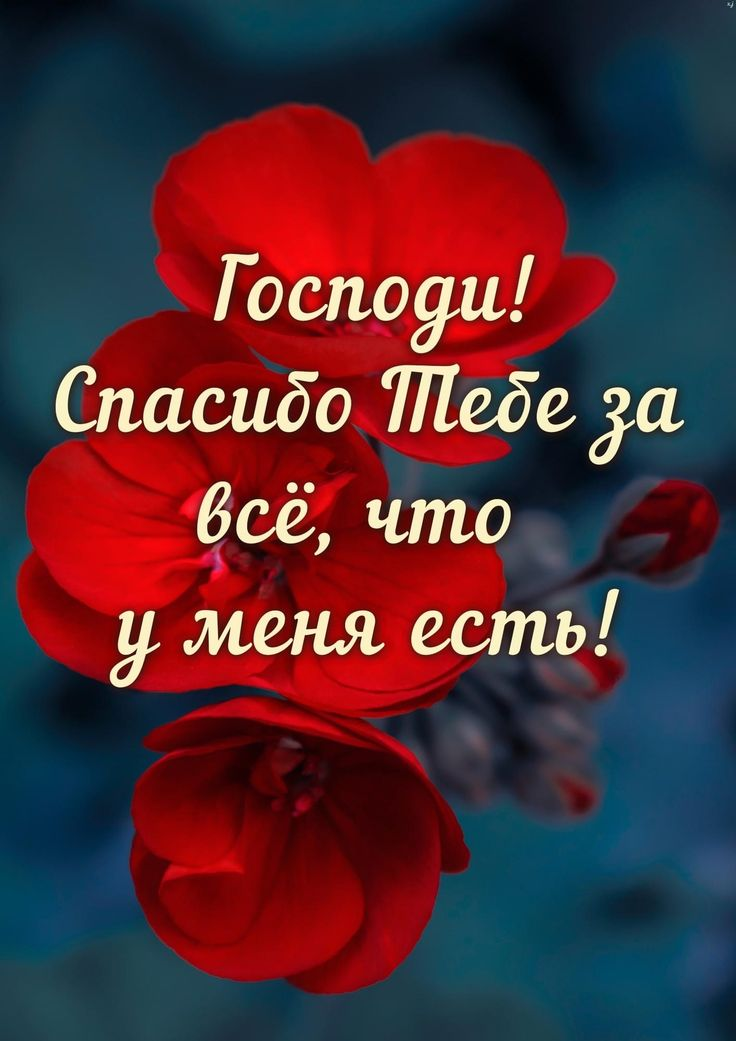 1772035432791.png