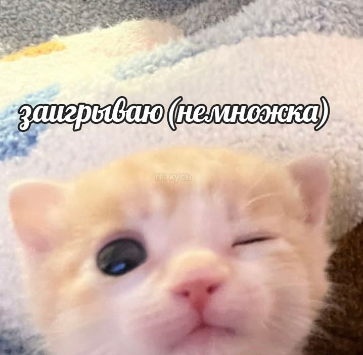 1772093235241.png