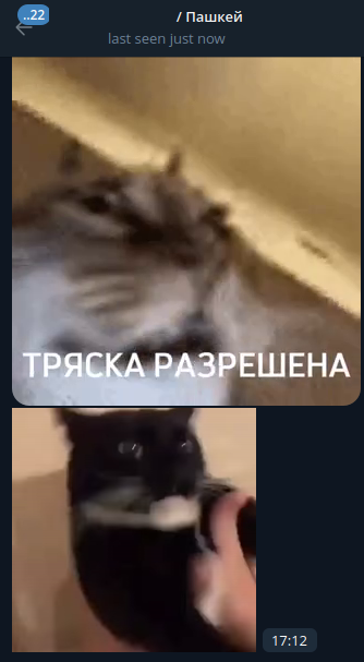 1772100957519.png