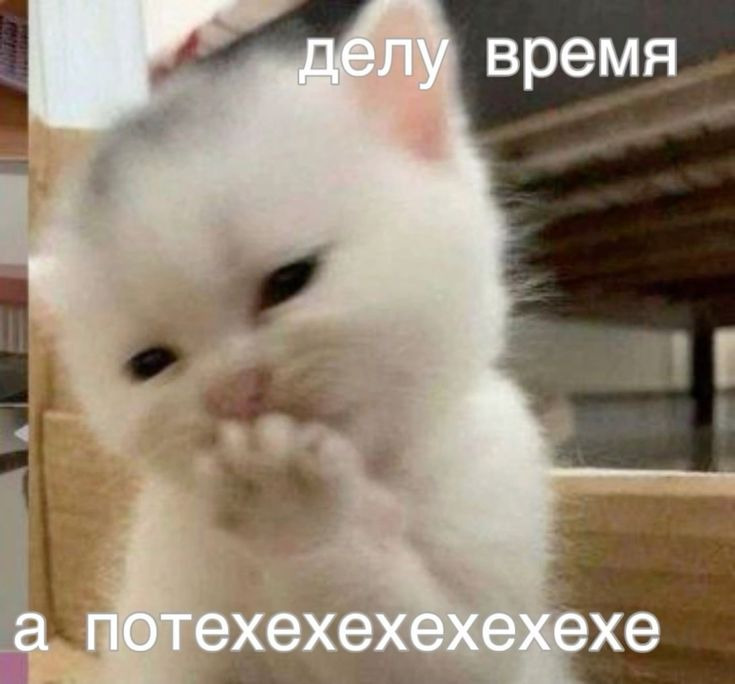 1772124606047.png