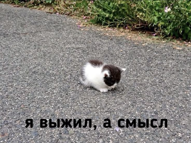 1772124636653.png