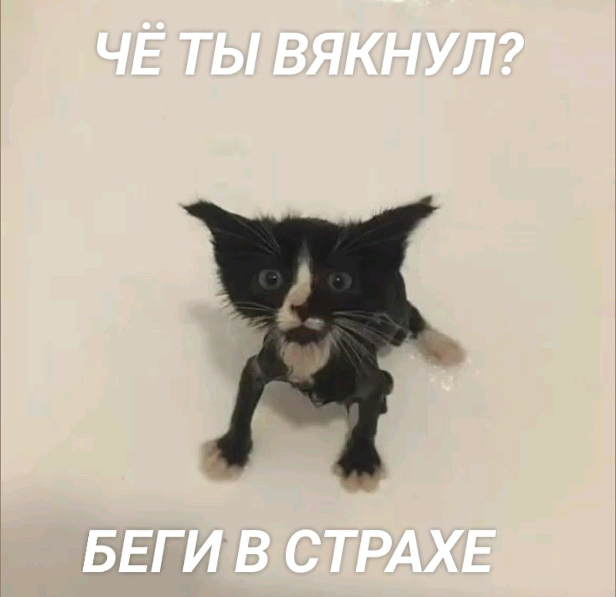 1772124690821.png