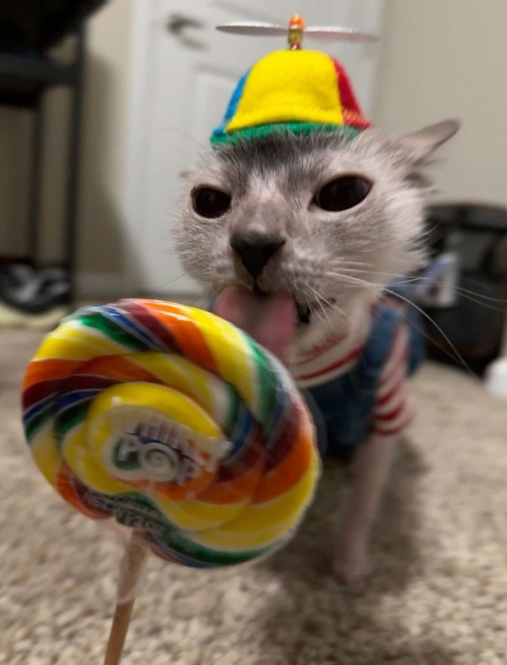 1772191150046.png