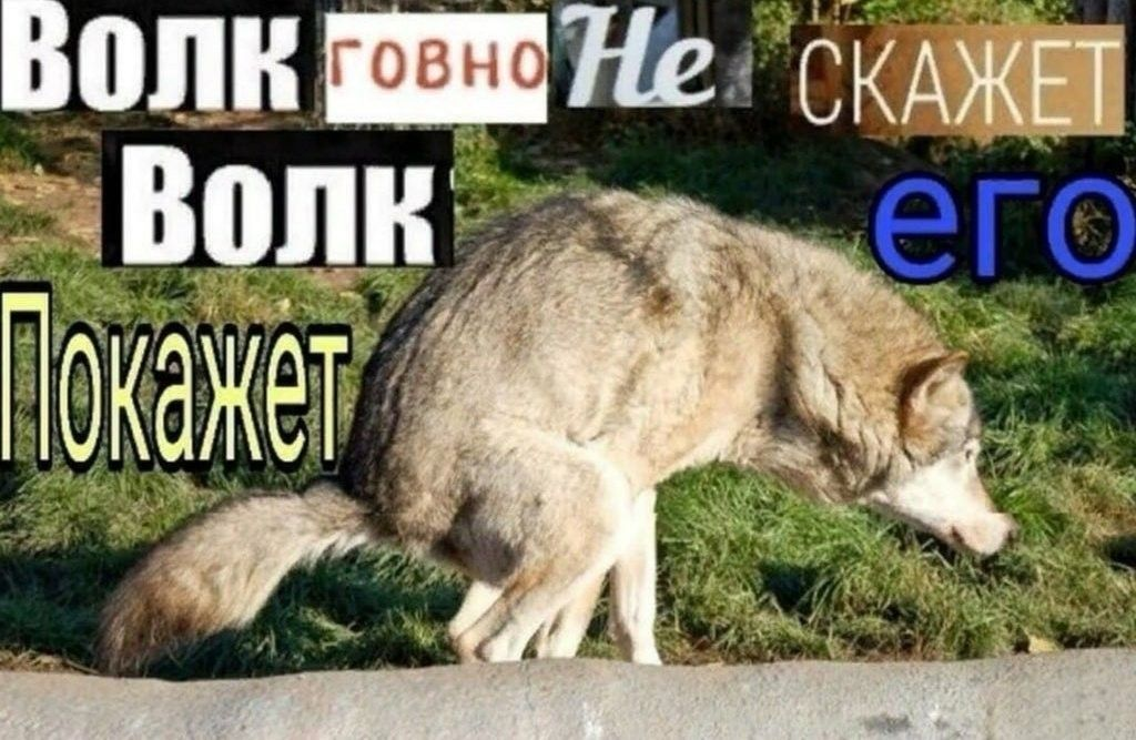 1772193964915.png