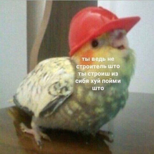 1772221219872.png