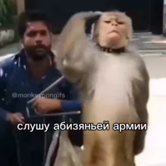1772316084897.png