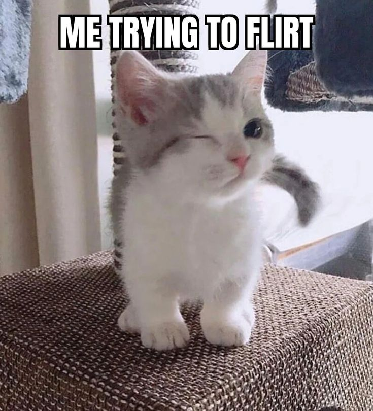 1772448507729.png