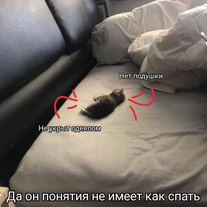 1772549113286.png