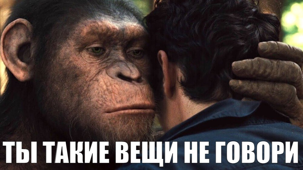 1772725333797.png