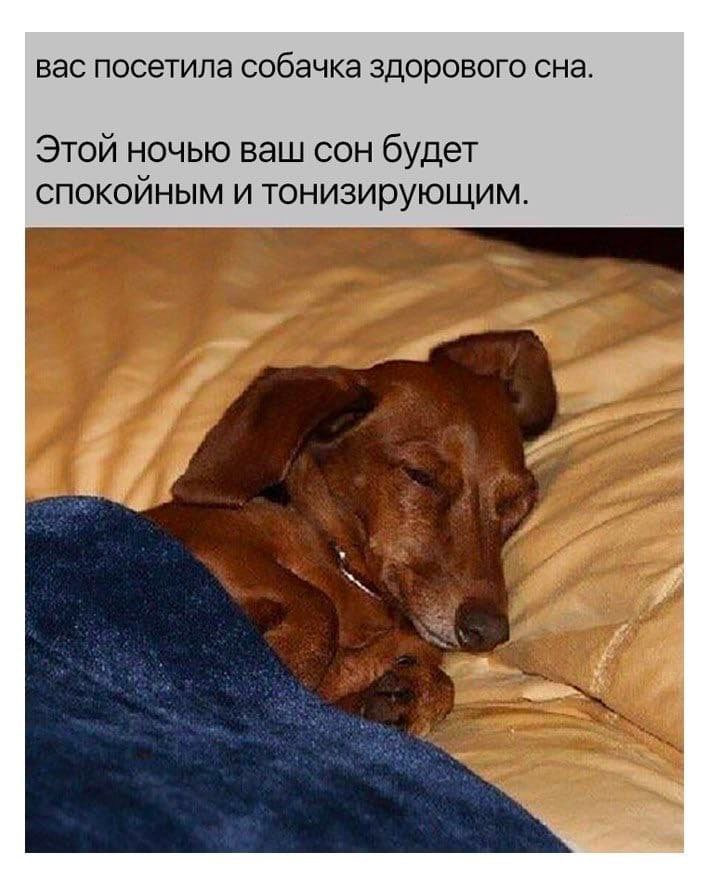 1772808555964.png