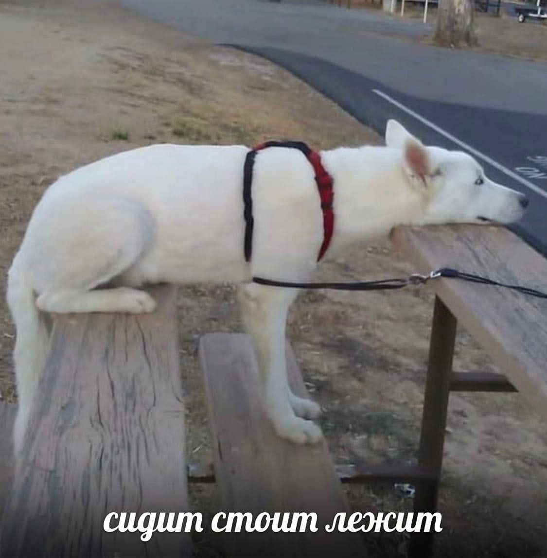 1772808853165.png