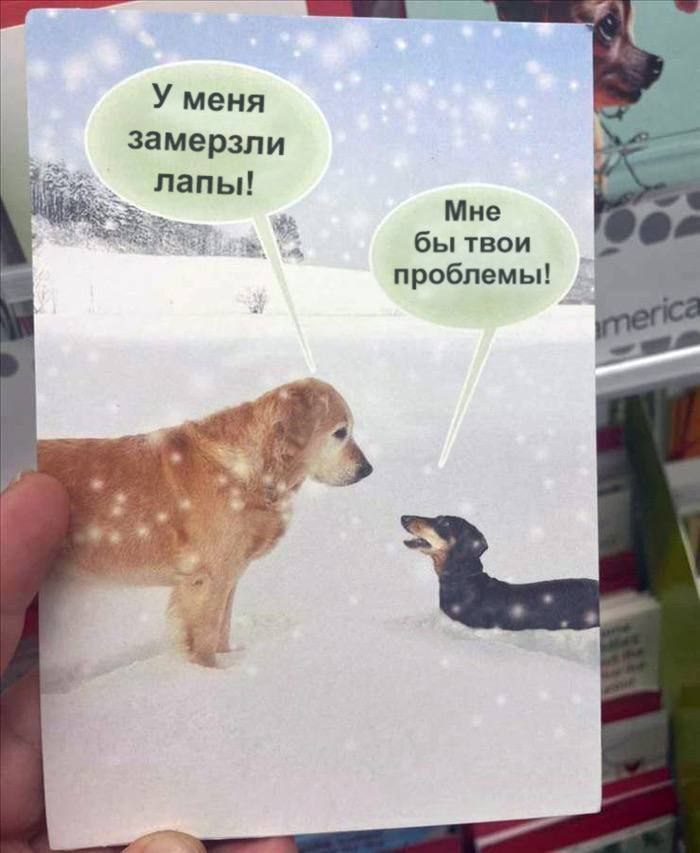 1772809577182.png