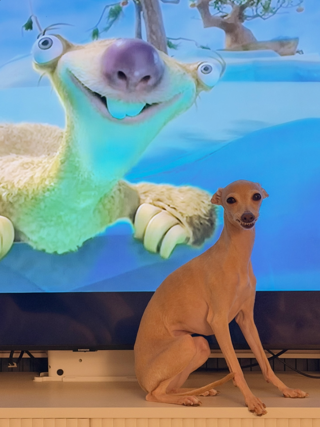1772880720951.png