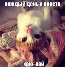 1773244251920.png