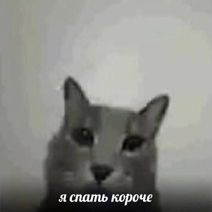 1773246410444.png