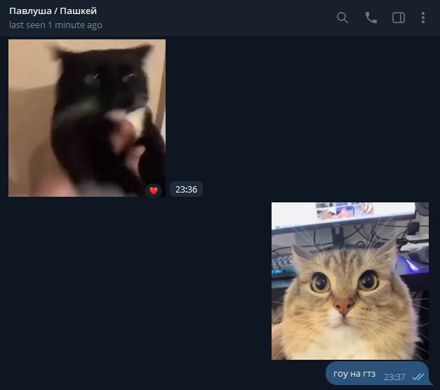 1773251481640.png