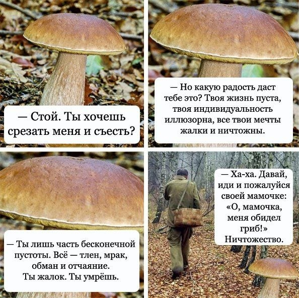 1773303170061.png