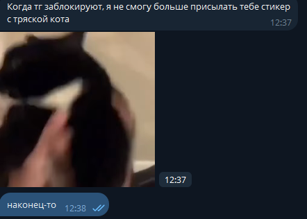 1773308581468.png