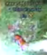 1773410234905.png