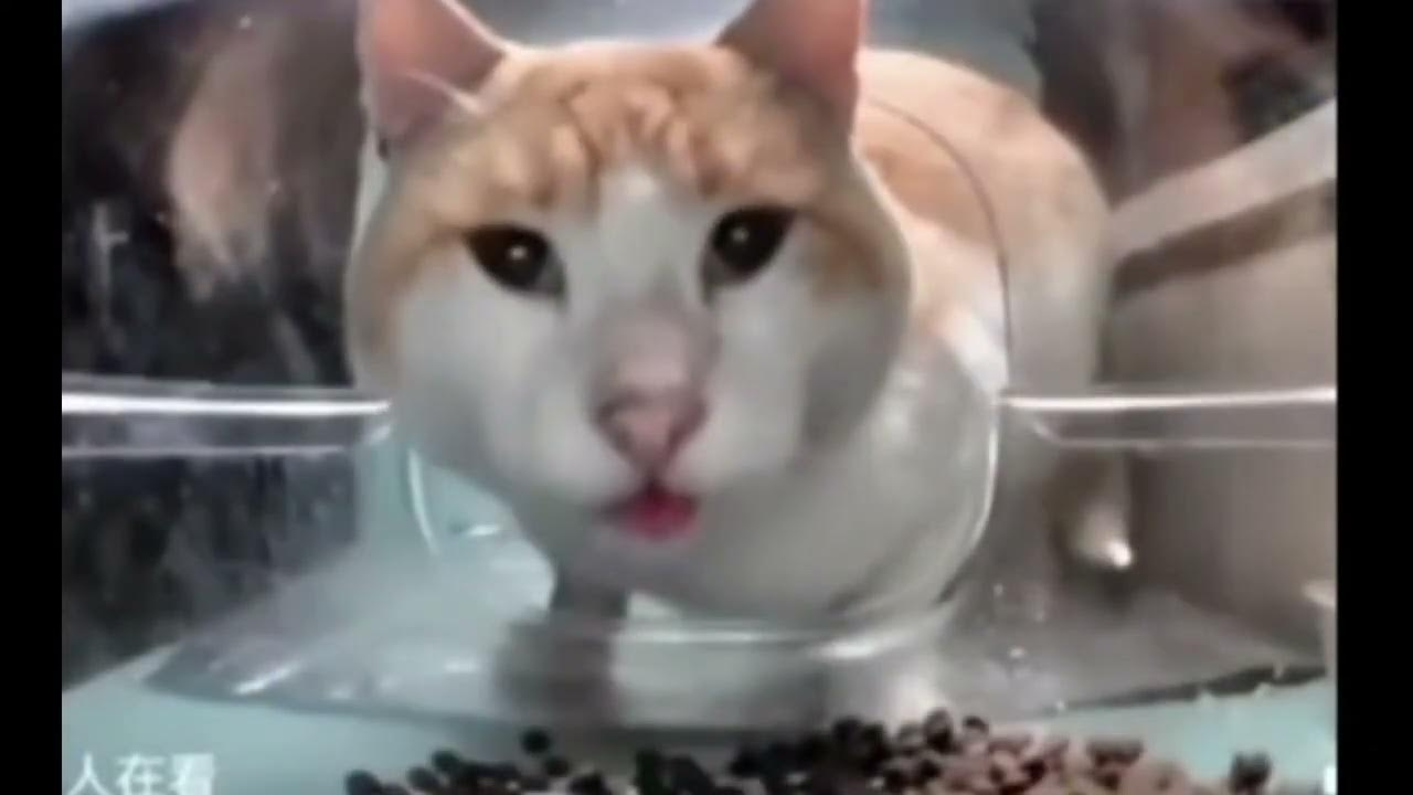 1773902748265.png