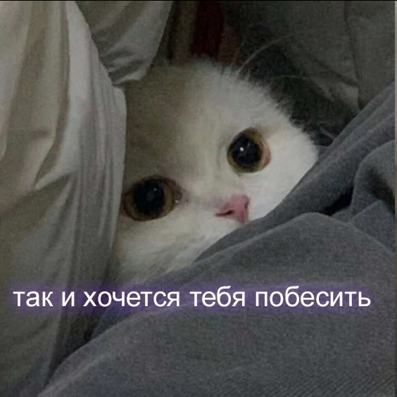 1774071334389.png