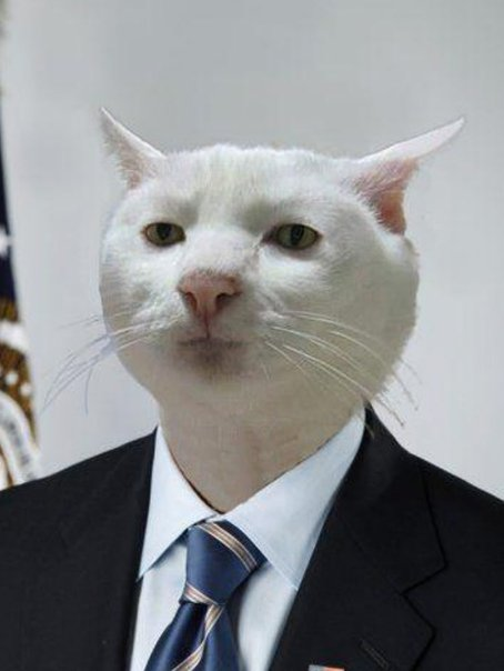 1774098168772.png