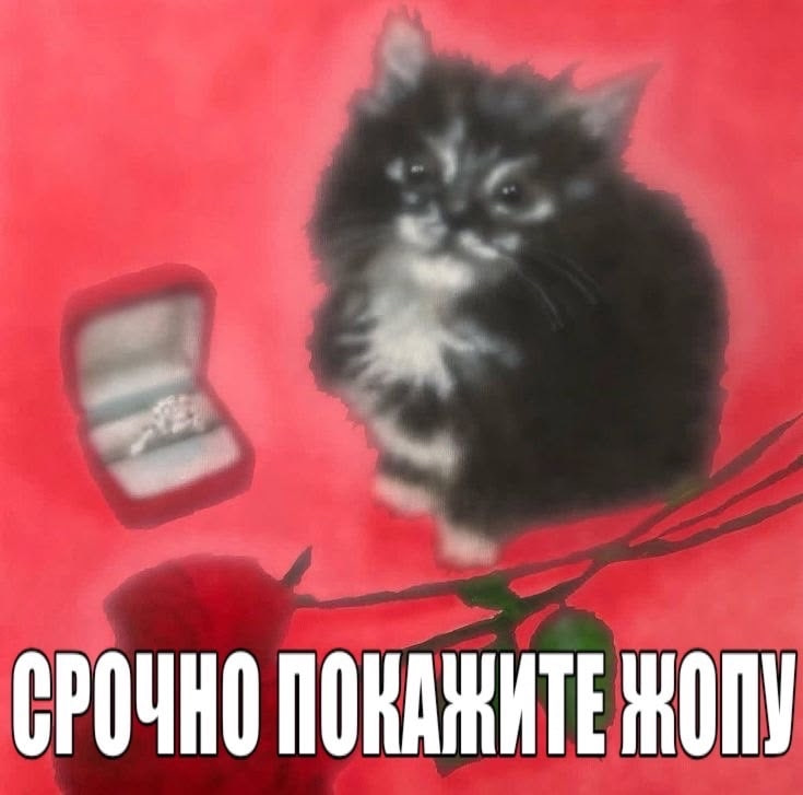 1774103179213.png