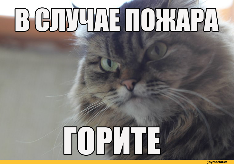 1774350050821.png