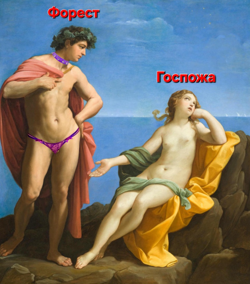 17743536.jpg