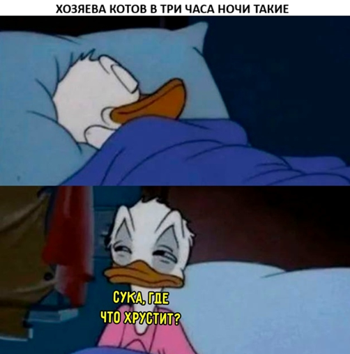 1774678718684.png
