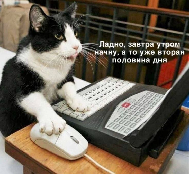 1775136120808.png