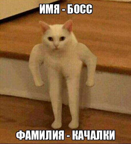 1775160692690.png
