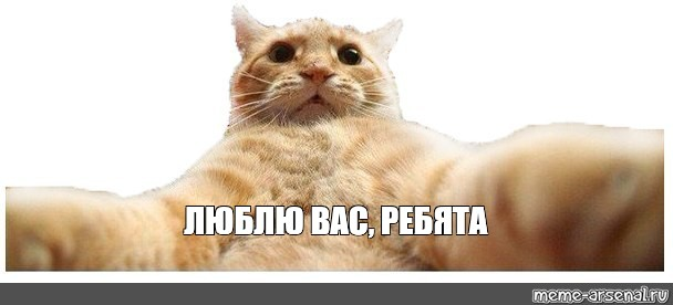 1775232918500.png