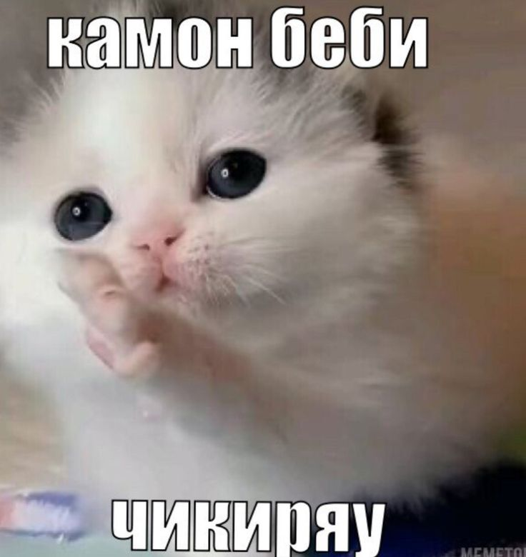 1775233928138.png