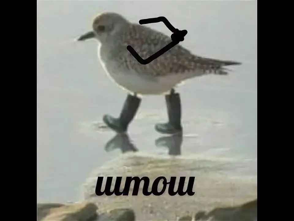 1775307668984.png