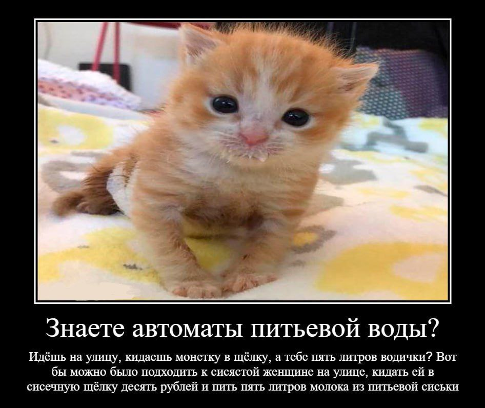 1775340379766.png
