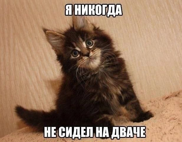 1775340517530.png