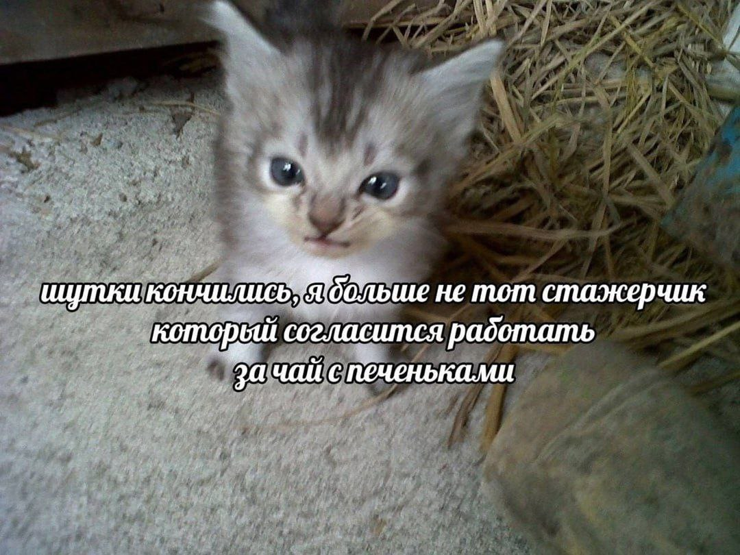 1775468085626.png