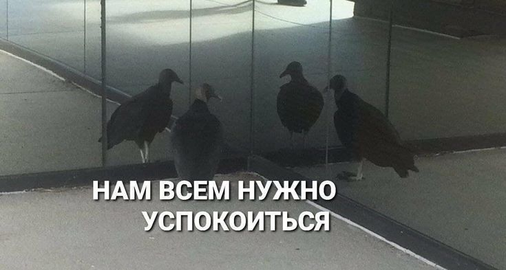 1775633099656.png