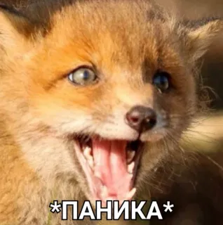 1775711910147.png