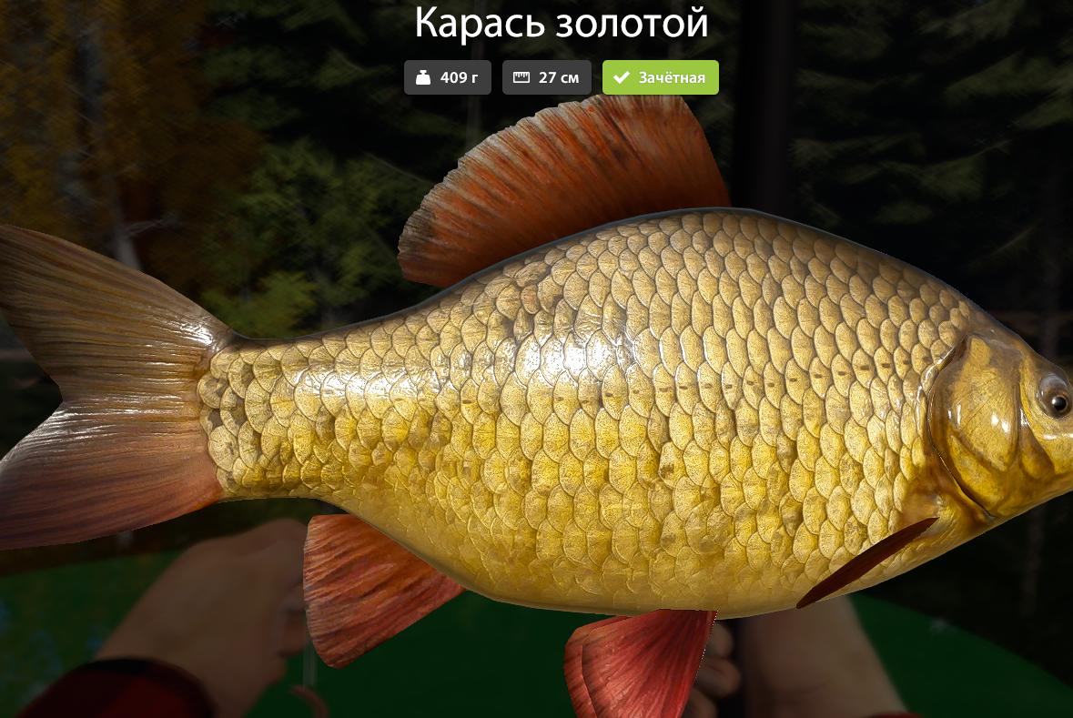 1775763223437.png