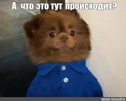 1775828173633.png