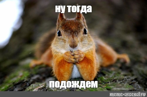 1775830900796.png