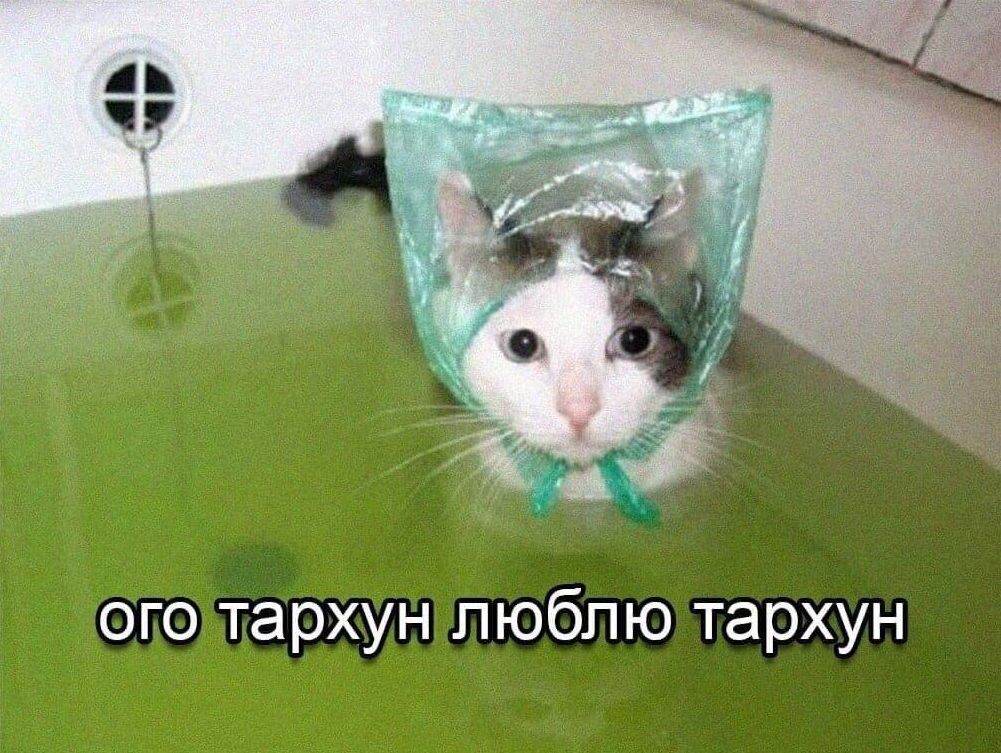 1775988349337.png