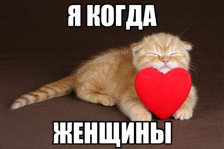 1776076530404.png