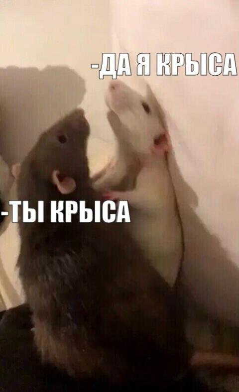 1776150915755.png