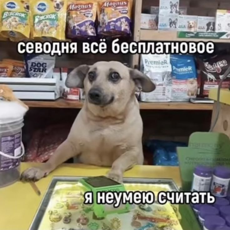 1776326028297.png