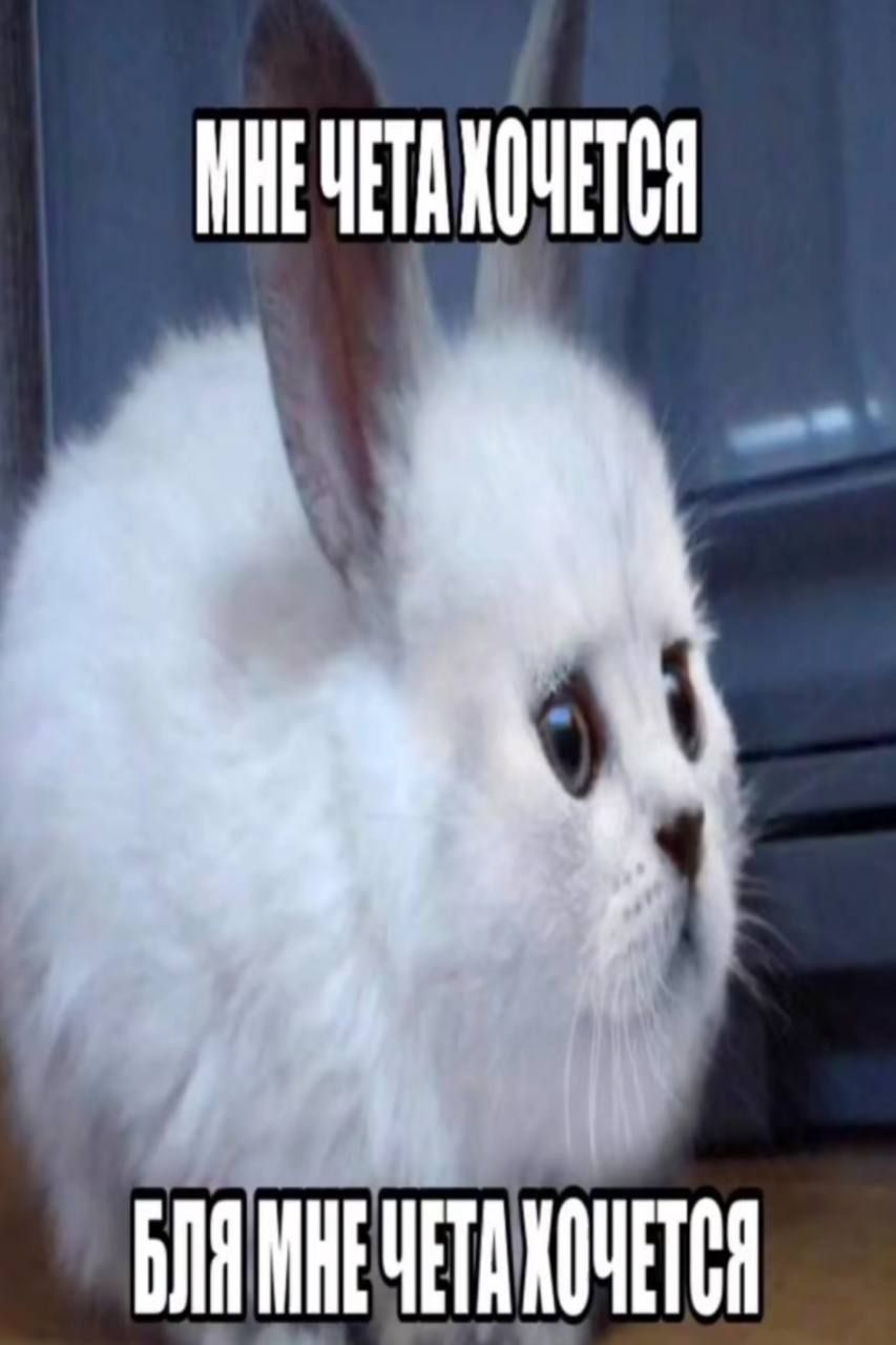 1776356315298.png